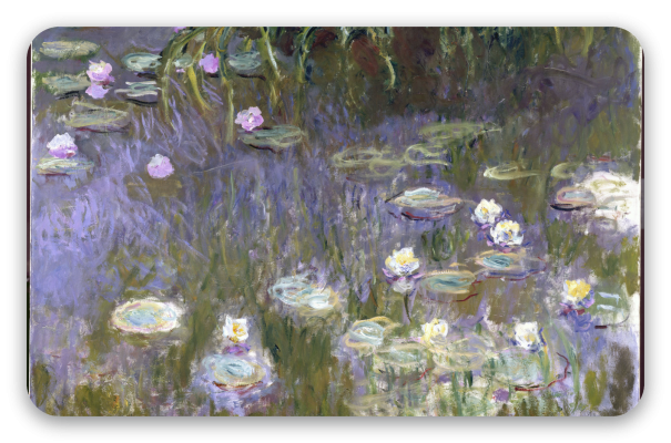 Waterlelies