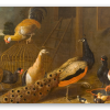 Het hoenderhof
