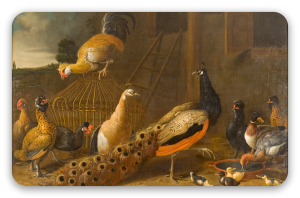 Het hoenderhof