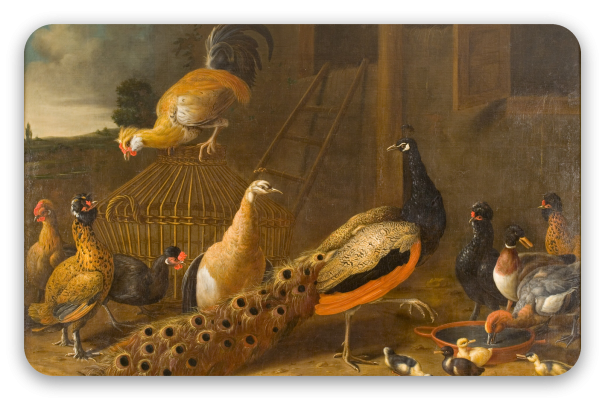 Het hoenderhof