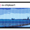 OV chip Anoniem