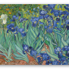 Irissen