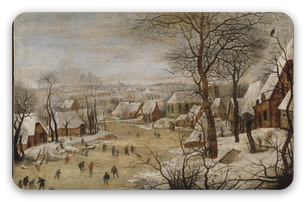 Winterlandschap met vogelknip