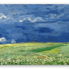 Korenvelden onder onweerslucht