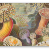 Zeeanemonen (Haeckel)