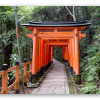 De rode poorten van Kyoto
