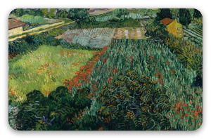 Veld met klaprozen