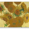 Zonnebloemen
