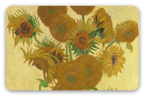 Zonnebloemen