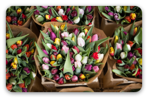 Tulpen op de bloemenmarkt