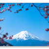 Mount Fuji