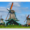 Molens aan de Zaan