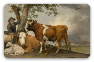 De stier
